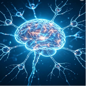 پودر ترکیبات نوتروپیک