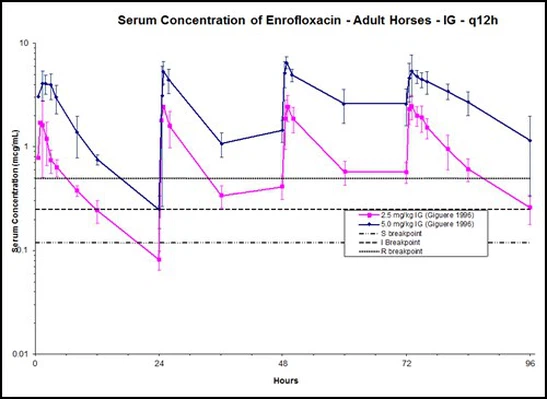 Enrofloxacin Enrofloxacin
